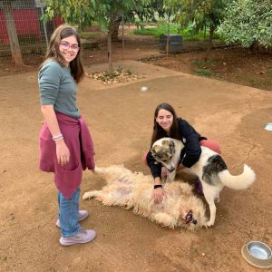 412654656_318525394487037_5327286570288524817_n