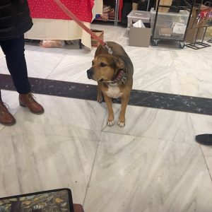 412663979_761774572655970_6626411951127898947_n