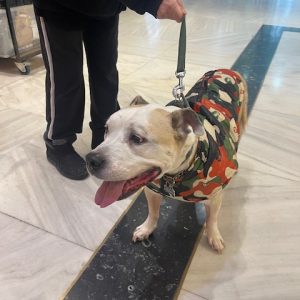 412667264_761774682655959_6302969837763166556_n