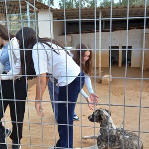 412684640_1986534775080788_1173241635179048825_n