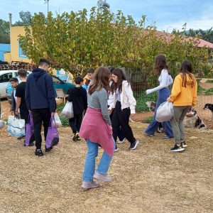 412704037_223948594082162_7627869077049876830_n