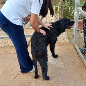 412707496_330369633193630_27818069727775984_n