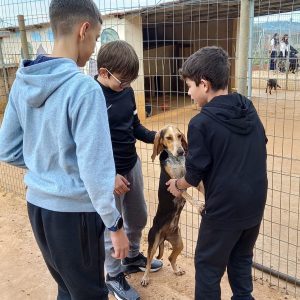 412707509_740611781301459_6917382882750107556_n