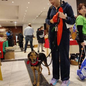 412894427_761774785989282_4752203580732116826_n