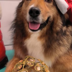 412932964_763626905804070_4995847724100978840_n