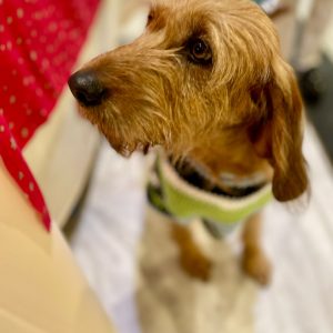 412934731_761774462655981_7941785339260152211_n