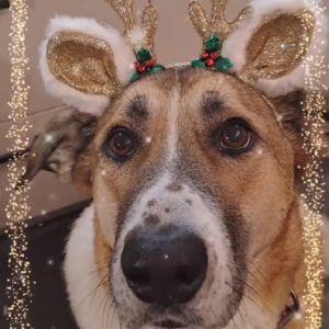 412935057_763626895804071_2874830549442903757_n