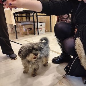 412949214_761774742655953_7573954944311985026_n