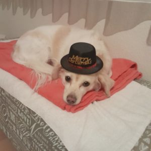 412949230_763627095804051_569357528953643744_n