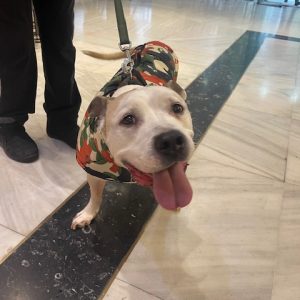 412951567_761774585989302_7810633359324859035_n