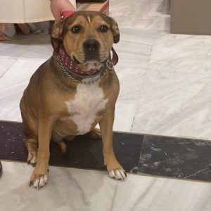 412994396_761774552655972_4559073505728535083_n