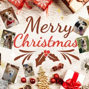 413002565_763626959137398_4916216376882241006_n