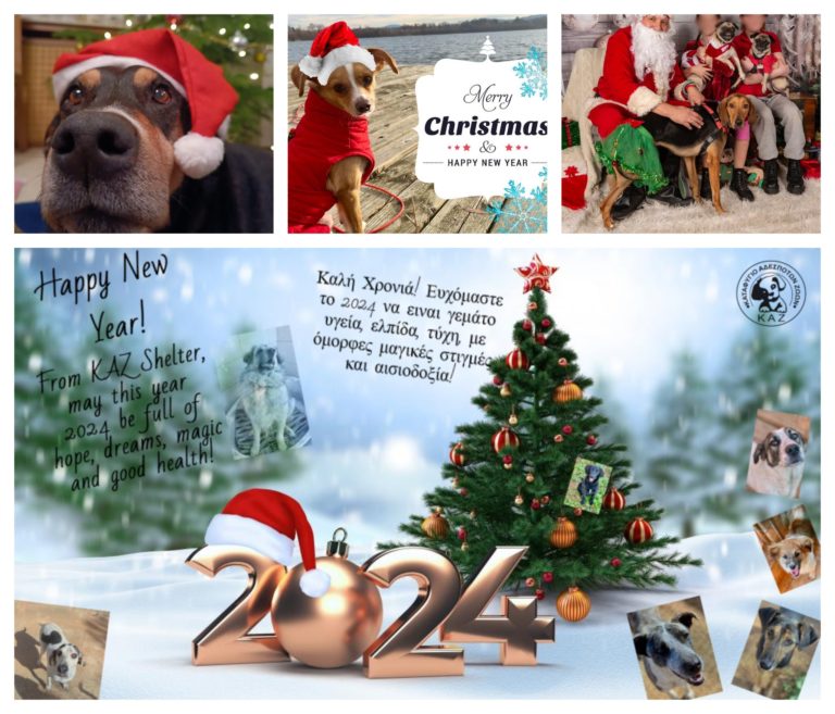 Read more about the article Καλή Χρονιά 2024!