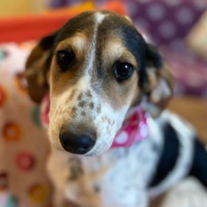 Ναόμι – Naomi