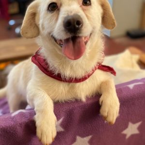 Ντάνι – Danny