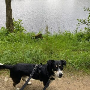 e1aad094-38c4-4f17-ad7e-315e44016605