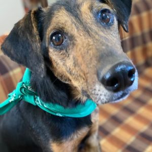 Μένιος – Menios