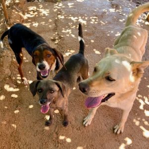 Mania, Ashie and Olympos