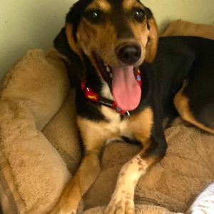 59580891-3f7a-48c5-a428-78b2d8e6d1dc