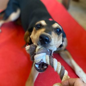 9c685755-0f9d-4572-a473-5bb11962fc87