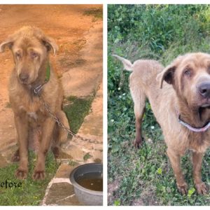 492930573_1113559610810796_9039331074781804183_n