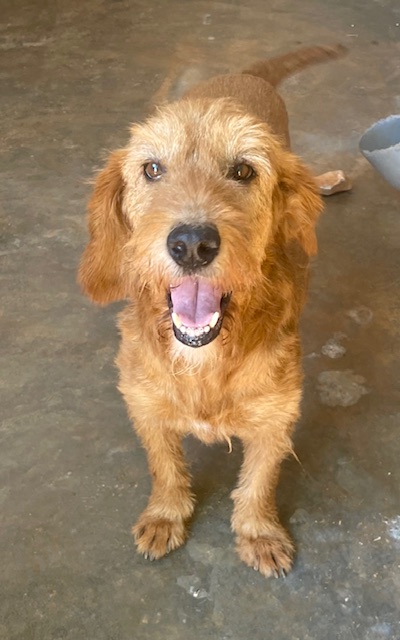 Read more about the article Γκέβιν – Gevin