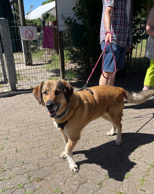 Read more about the article KAZ Reunion 2025, 29.06.2025 Griechentreffen