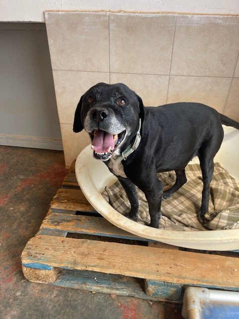 Read more about the article Ρίκυ – Ricky