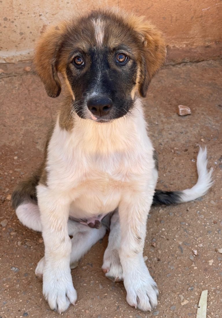 Read more about the article Στράικ – Strike