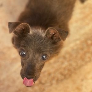 Vania 7.6.25 hairstyle (3)