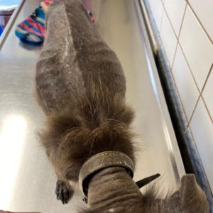 vania first days 21.1 (14)