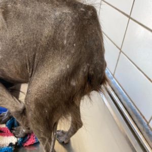 vania first days 21.1 (2)