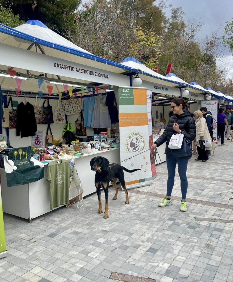 Read more about the article Woof Festival 2025!