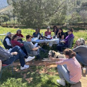 ΚΟΠΗ ΠΙΤΑΣ 2025 (2)