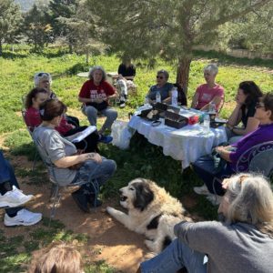 ΚΟΠΗ ΠΙΤΑΣ 2025 (3)