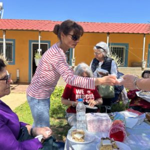 ΚΟΠΗ ΠΙΤΑΣ 2025 (7)