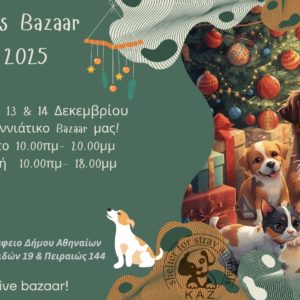 Σεράφειο Δήμου Αθηναίων – Serafio City of Athens (2)