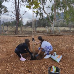 574565277_1272823714884384_1126611454555774479_n