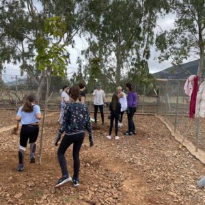 574576695_1272823758217713_6240182119943480037_n