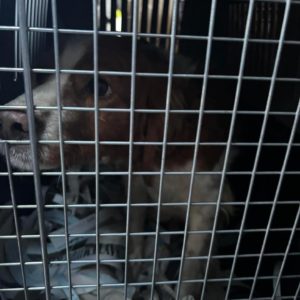 608354655_18552679234057556_3012347719155123045_n