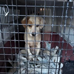 608643819_18552679252057556_4838610807452404287_n