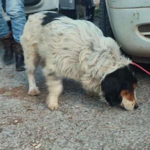 608821231_18552679243057556_2068719806321572306_n