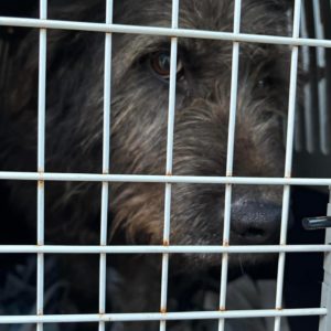 609663237_18552679216057556_2478372377268288278_n