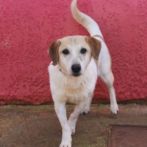 618520490_1340442321455856_3743210630750368699_n