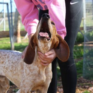 634753672_1361781612655260_9138760949085518072_n