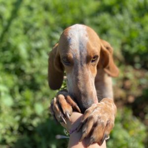 636929561_1361781669321921_1835152502146245943_n